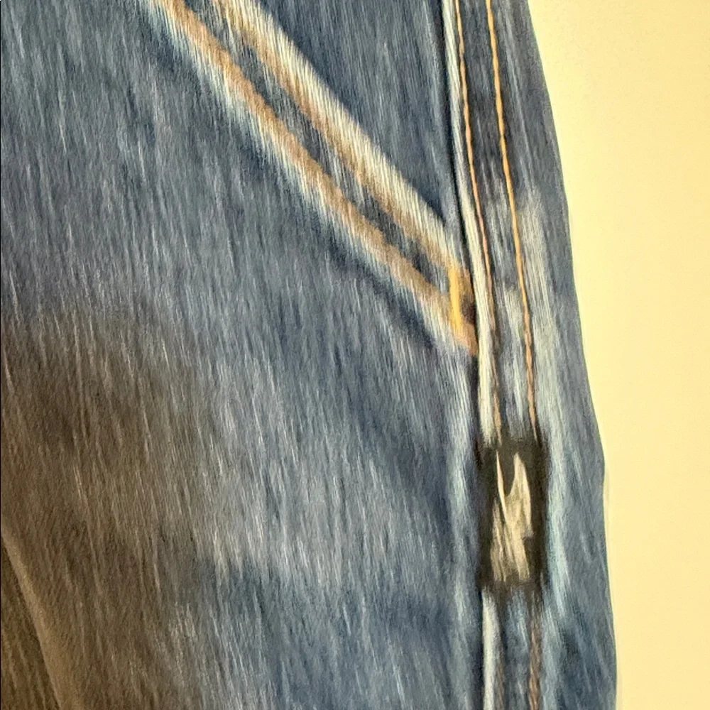 NWT Silver Utility Jean Blue Denim Shorts 5.5 Inseam Women's Size‎ 22W